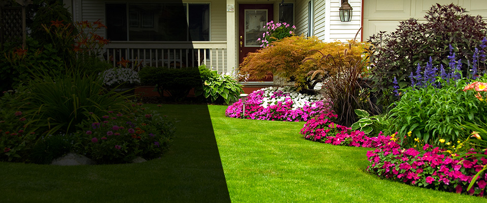 Saint Clair Shores Landscapers