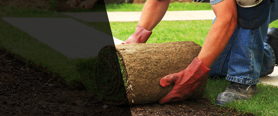 Saint Clair Shores Landscapers